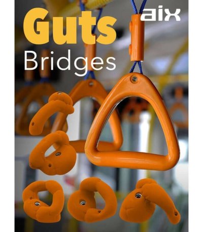 画像1: Guts Bridges　[Aix]