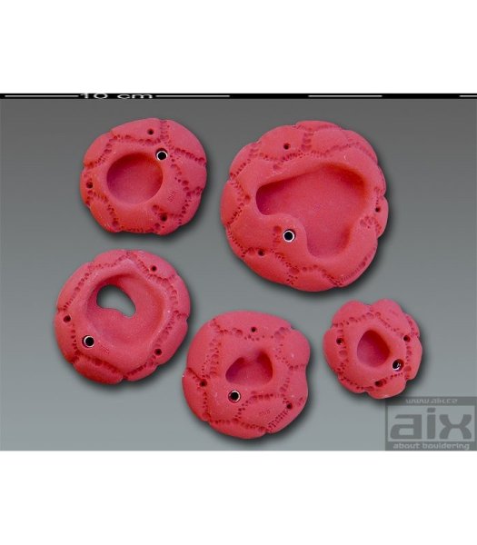 画像2: Diry 6　[Aix] (2)