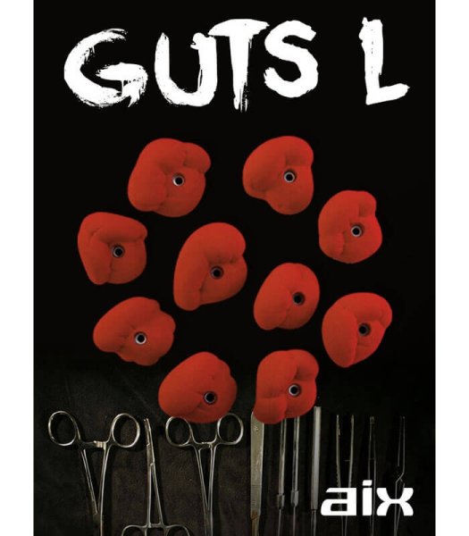 画像4: Guts Large　[Aix] (4)