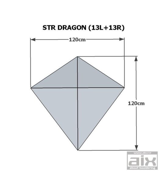 画像2: Dragon (STRUKTURA_13L +STRUKTURA_13R)　[Aix] (2)