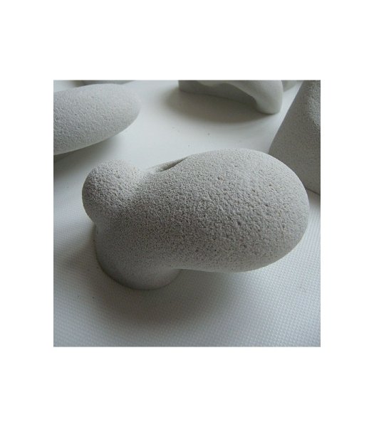 画像9: Positiv 8　 [Aix] (9)