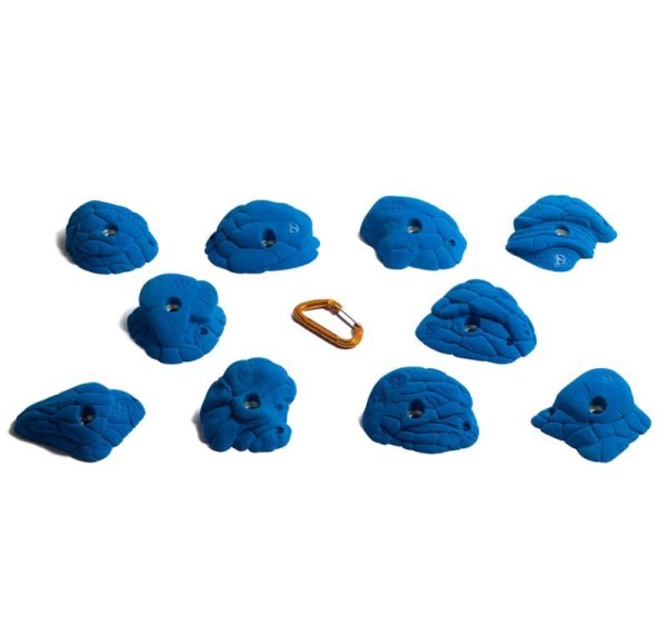 画像3: Bee　[Didak's] (3)