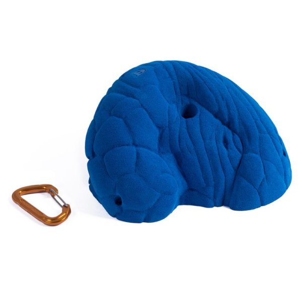 画像2: NEVERLAND　[Didak's] (2)