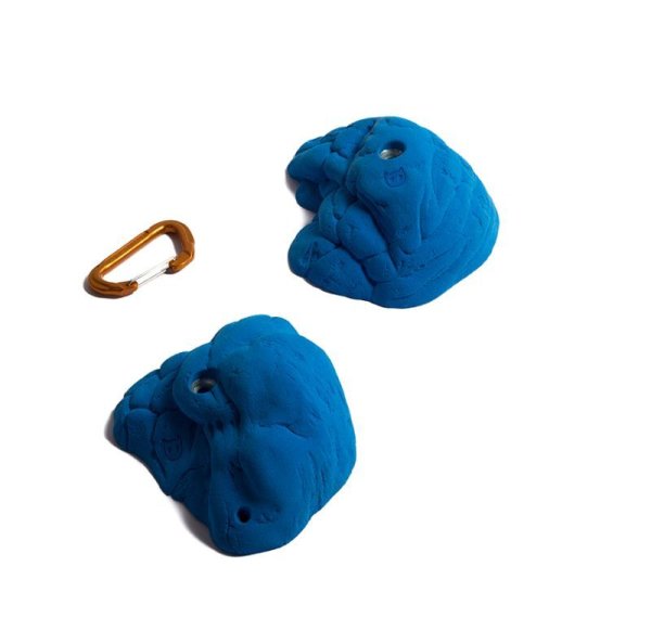 画像5: Beetle　[Didak's] (5)