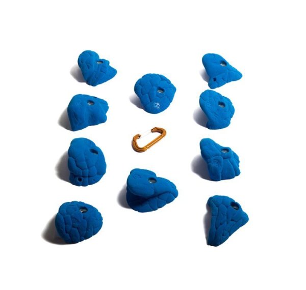 画像2: Bee　[Didak's] (2)