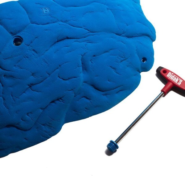 画像8: Crab　[Didak's] (8)