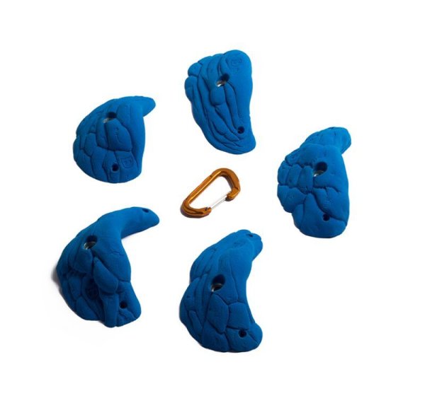 画像5: Lobster　[Didak's] (5)