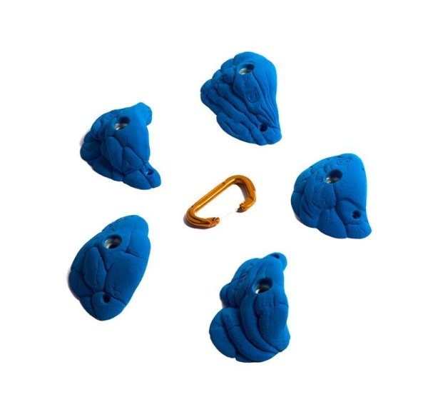 画像5: Shrimp　[Didak's] (5)