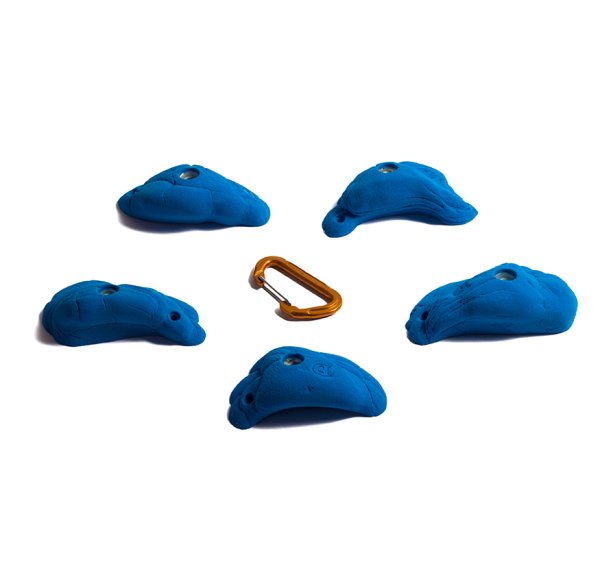 画像4: Shrimp　[Didak's] (4)