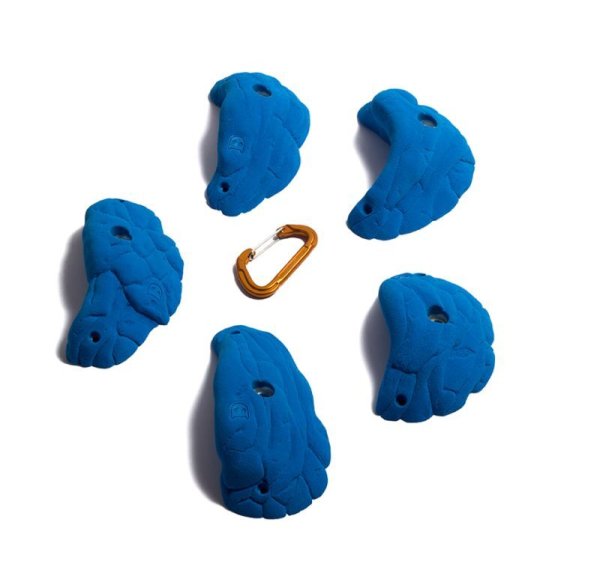 画像3: Lobster　[Didak's] (3)