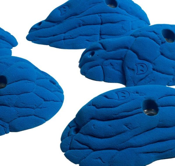 画像7: Lobster　[Didak's] (7)