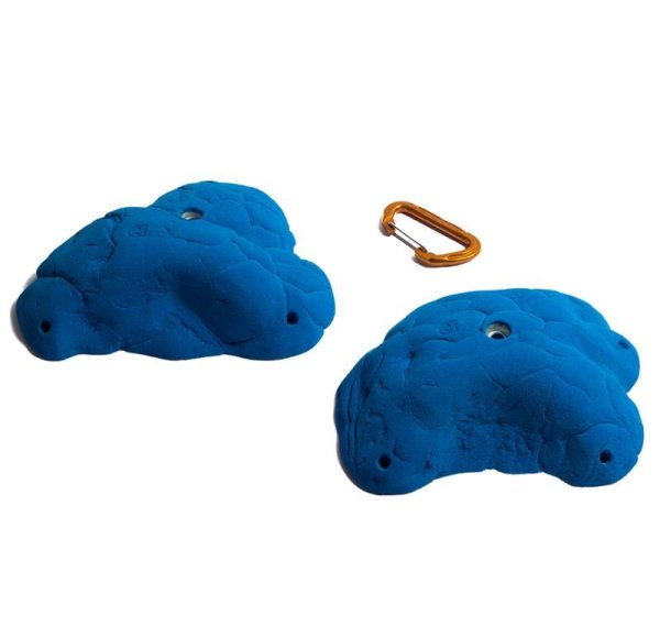 画像4: Katydid　[Didak's] (4)