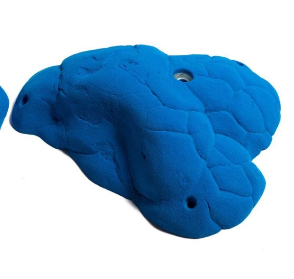 画像8: Katydid　[Didak's] (8)