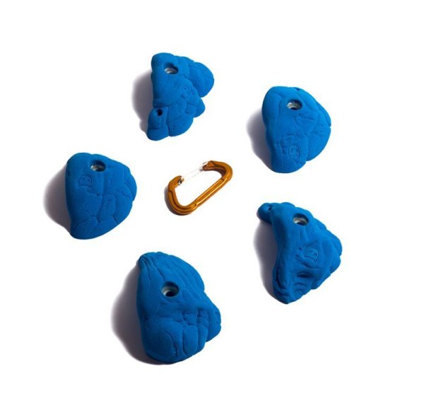 画像3: Shrimp　[Didak's] (3)