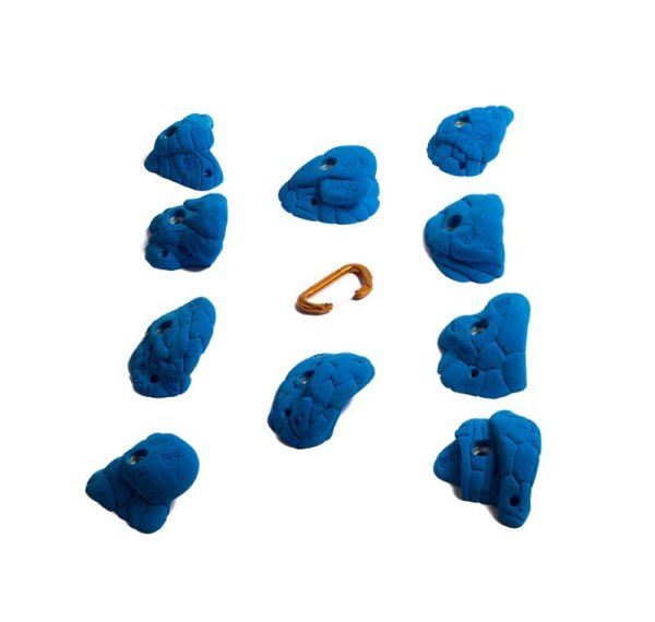 画像5: Bee　[Didak's] (5)