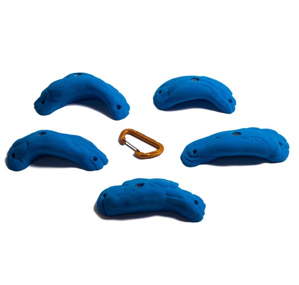 画像4: Lobster　[Didak's] (4)