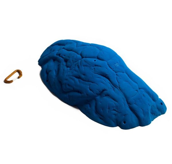 画像7: Crab　[Didak's] (7)