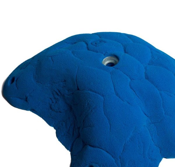 画像9: Katydid　[Didak's] (9)