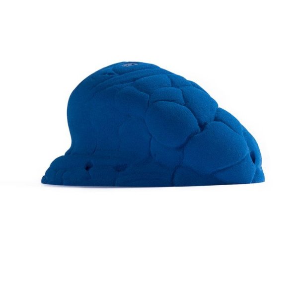 画像7: NEVERLAND　[Didak's] (7)