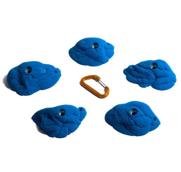 画像2: Shrimp　[Didak's] (2)