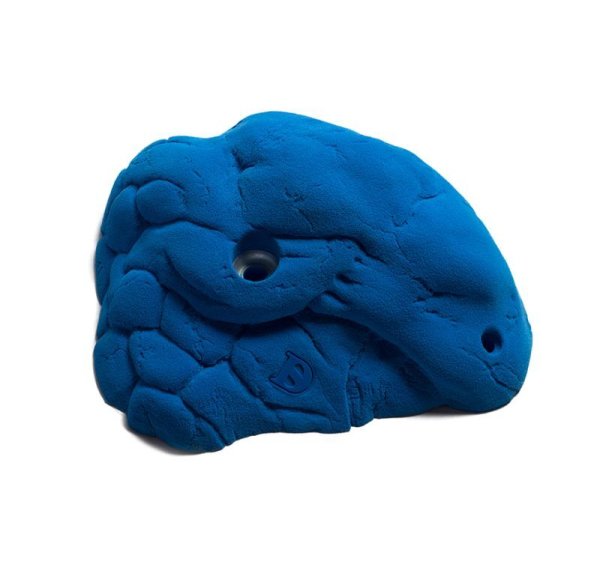 画像8: Beetle　[Didak's] (8)