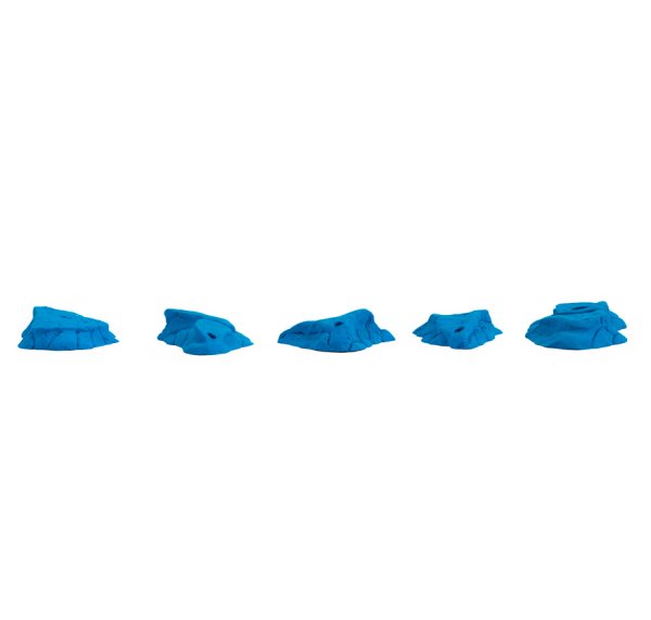 画像4: Ants　[Didak's] (4)