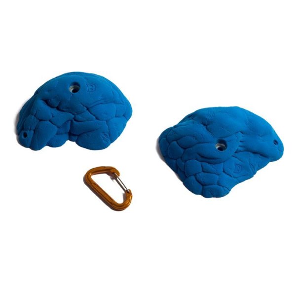 画像2: Beetle　[Didak's] (2)