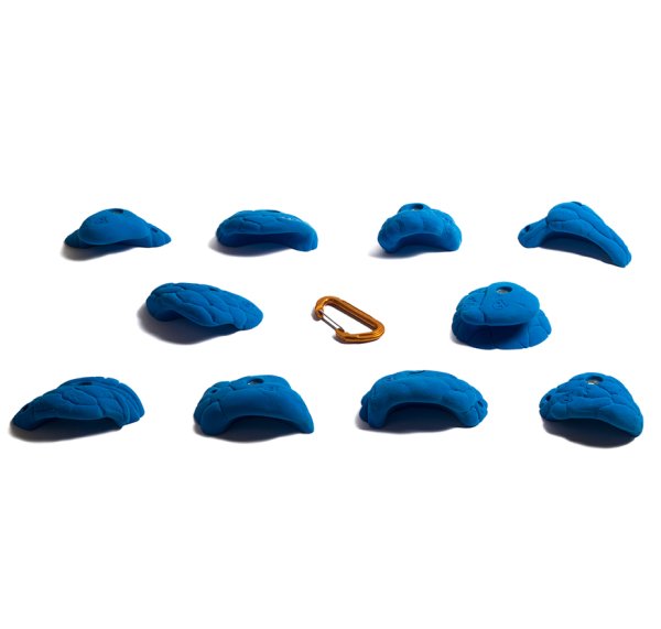 画像4: Bee　[Didak's] (4)