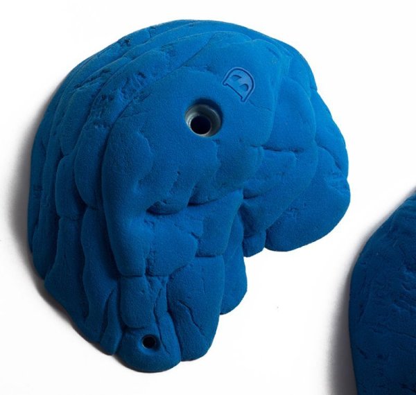 画像7: Beetle　[Didak's] (7)